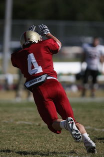 华体会体育在线登录-德甲球队视频分析辅助防守站位调整的实证研究，德甲身体对抗